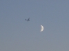 befa-mond-q