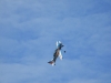 fliegerfest-08-51_lbb