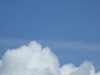 hresw2dflfliegerfest08023